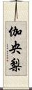伽央梨 Scroll