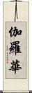 伽羅華 Scroll