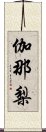 伽那梨 Scroll