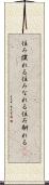 住み慣れる Scroll