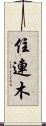 住連木 Scroll