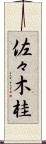 佐々木桂 Scroll
