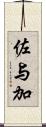 佐与加 Scroll