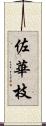 佐華枝 Scroll