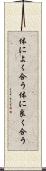 体によく合う Scroll