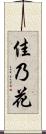 佳乃花 Scroll