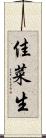 佳菜生 Scroll