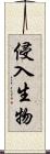 侵入生物 Scroll