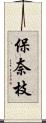 保奈枝 Scroll