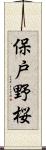 保戸野桜 Scroll