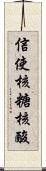 信使核糖核酸 Scroll