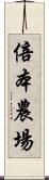 倍本農場 Scroll