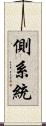 側系統 Scroll