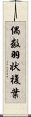 偶数羽状複葉 Scroll
