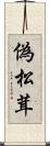 偽松茸 Scroll