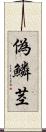 偽鱗茎 Scroll