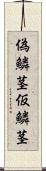 偽鱗茎 Scroll