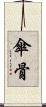 傘骨 Scroll