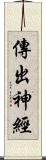 傳出神經 Scroll