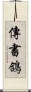 傳書鴿 Scroll