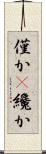 僅か(P) Scroll