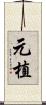 元植 Scroll
