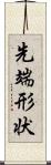先端形状 Scroll
