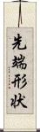 先端形状 Scroll