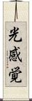 光感覚 Scroll