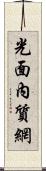 光面內質網 Scroll