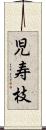 児寿枝 Scroll