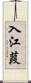 入江葭 Scroll
