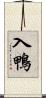 入鴨 Scroll