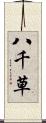 八千草 Scroll
