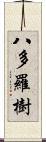 八多羅樹 Scroll