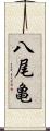 八尾亀 Scroll