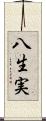 八生実 Scroll