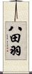 八田羽 Scroll