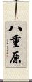 八重原 Scroll