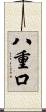 八重口 Scroll