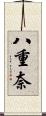 八重奈 Scroll
