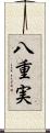 八重実 Scroll