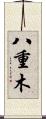八重木 Scroll