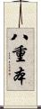 八重本 Scroll