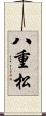 八重松 Scroll
