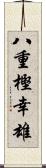 八重樫幸雄 Scroll