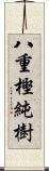 八重樫純樹 Scroll