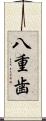 八重歯 Scroll