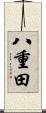 八重田 Scroll