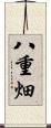 八重畑 Scroll
